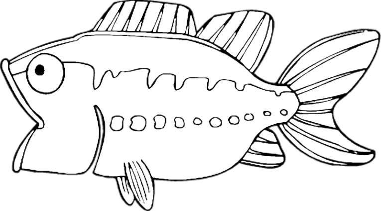Fishes 106