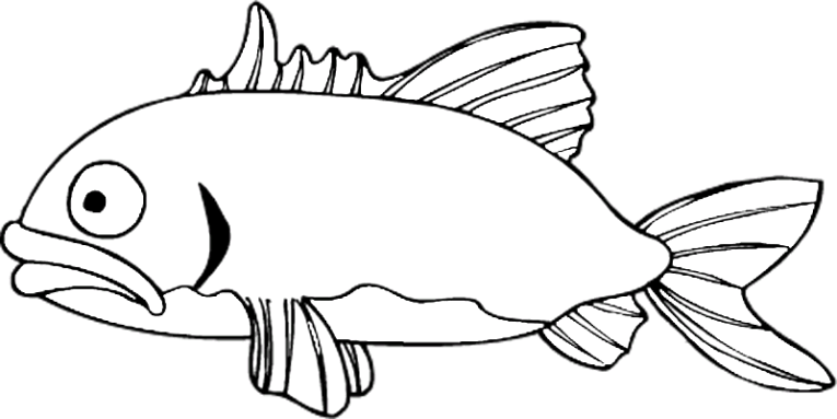 Fishes 107