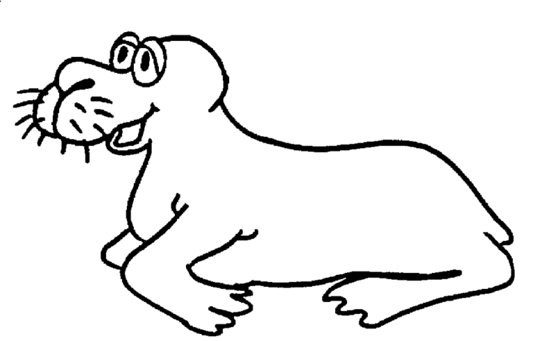 Walruses 2