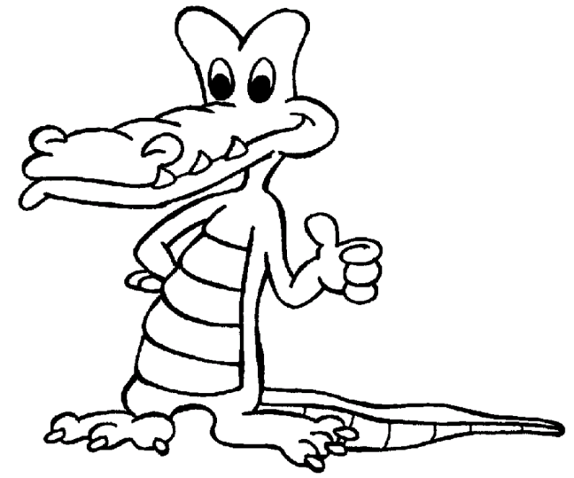 Alligators & Crocodiles 5