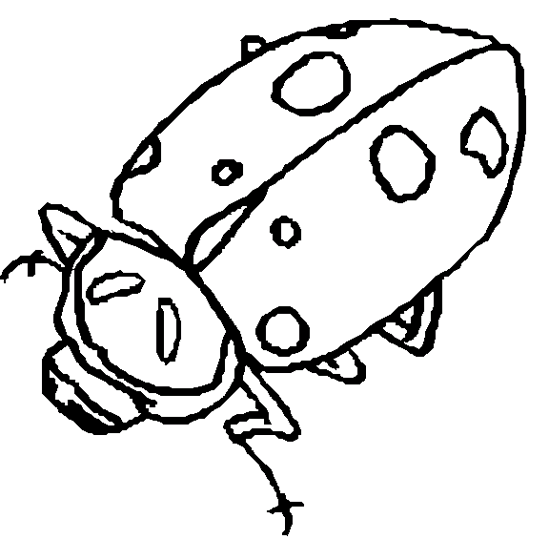 Ladybugs 4