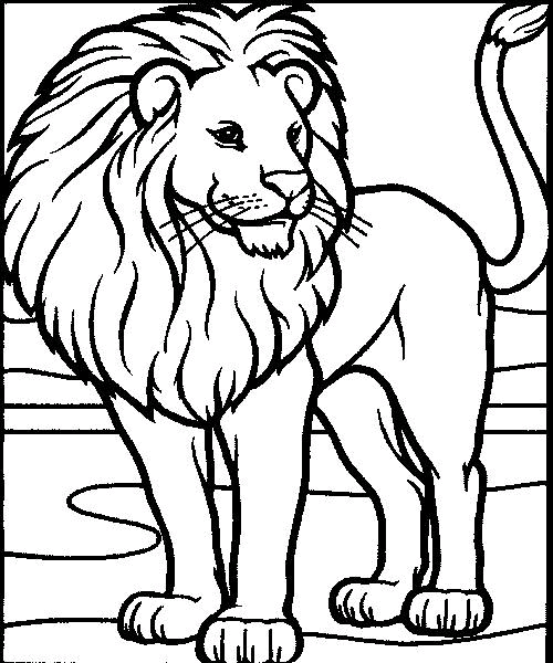 Lions 9