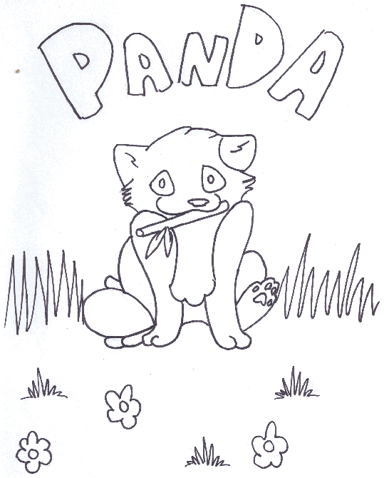 Red Panda 1