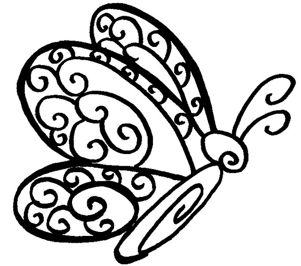 Butterflies 16