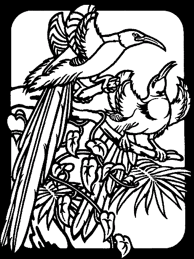 Birds 8
