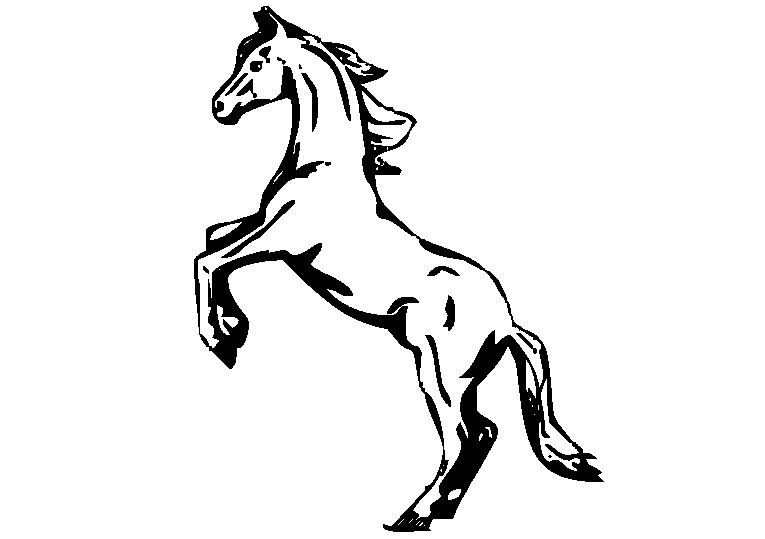 Horses 30