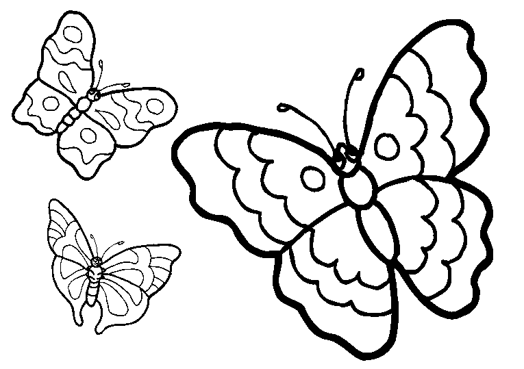 Butterflies 18