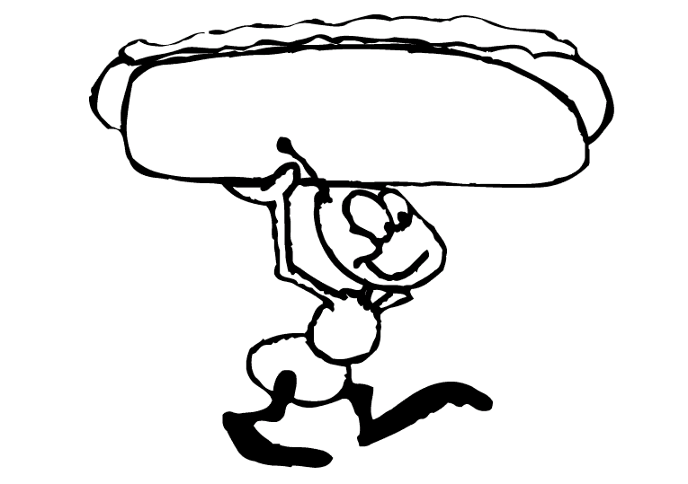 Other Food 15