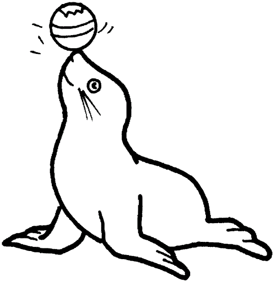 Seals 2
