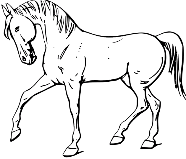 Horses 42