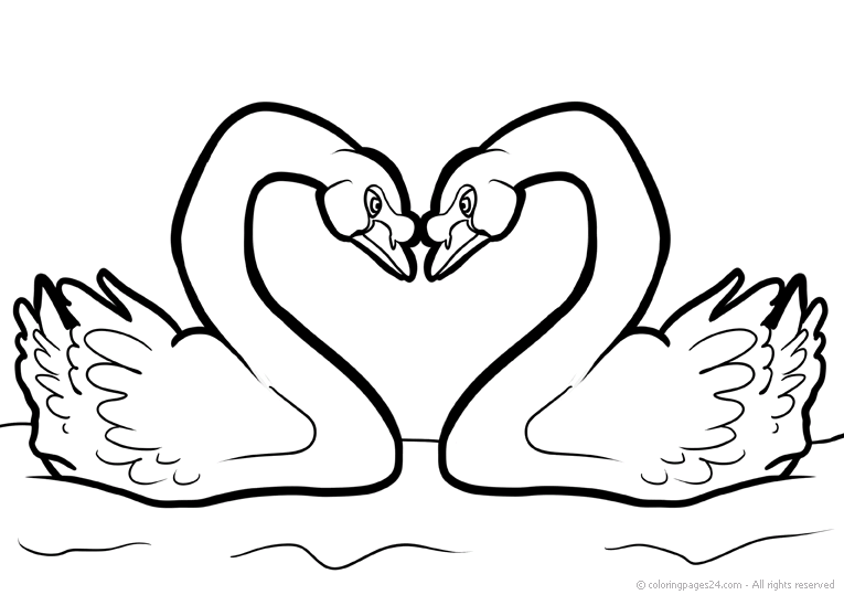 Birds 16