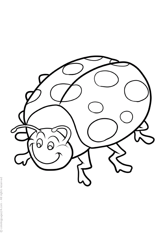 Ladybugs 6