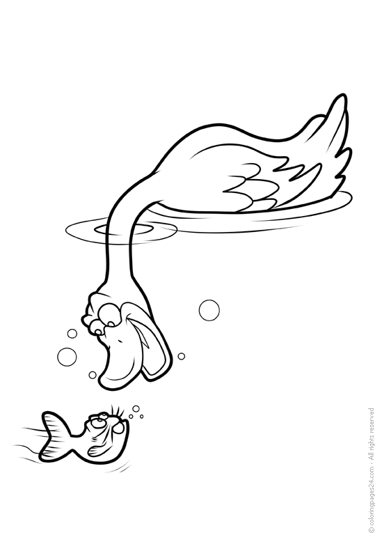 Birds 20