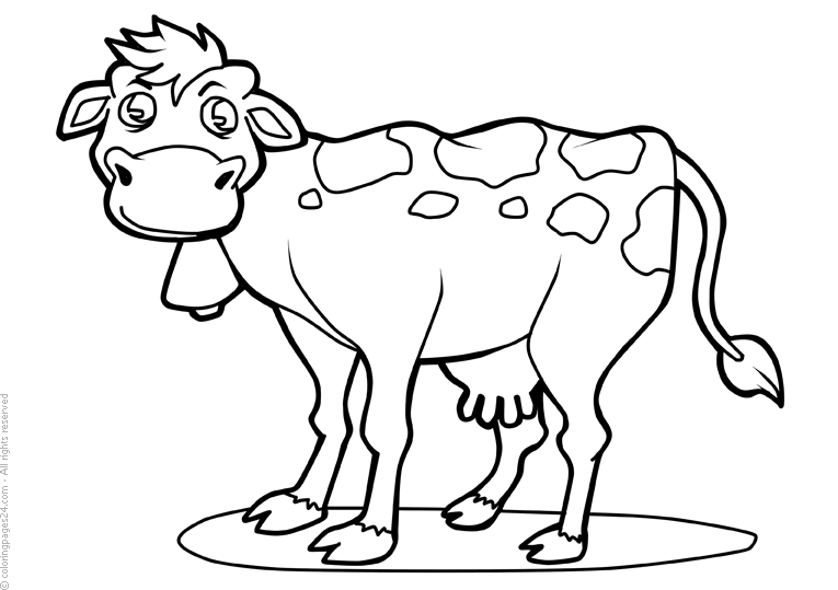 Cows & Bulls 9