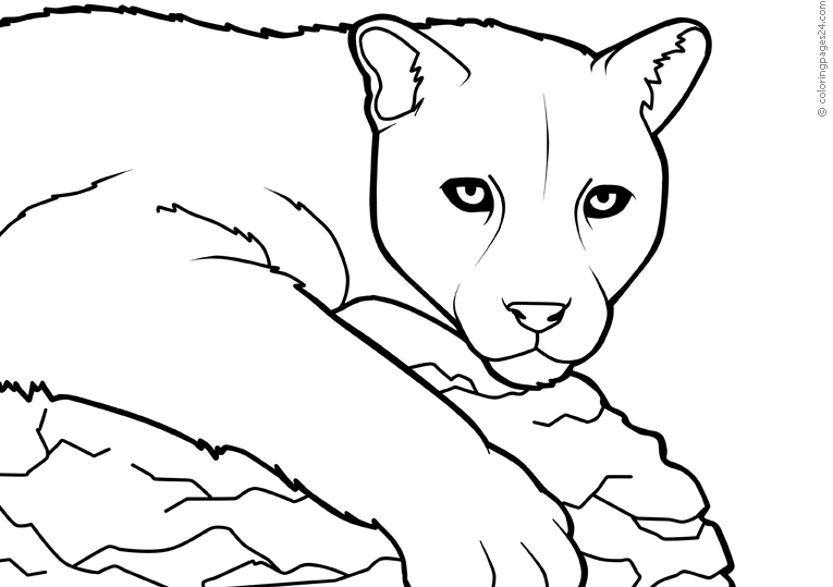 Pumas 2 Coloring Pages 24