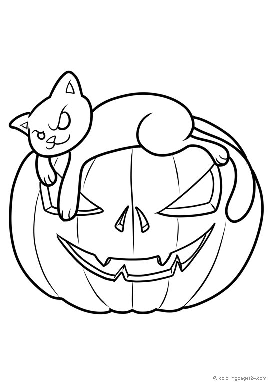 Cat rests on a halloween pumpkin