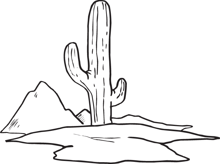 Cactuses 8