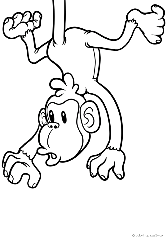 Monkeys 36