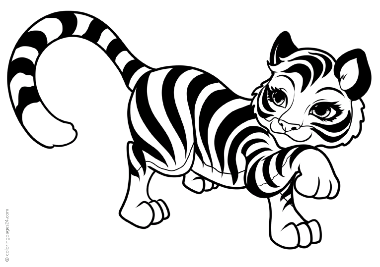 Tigers 7