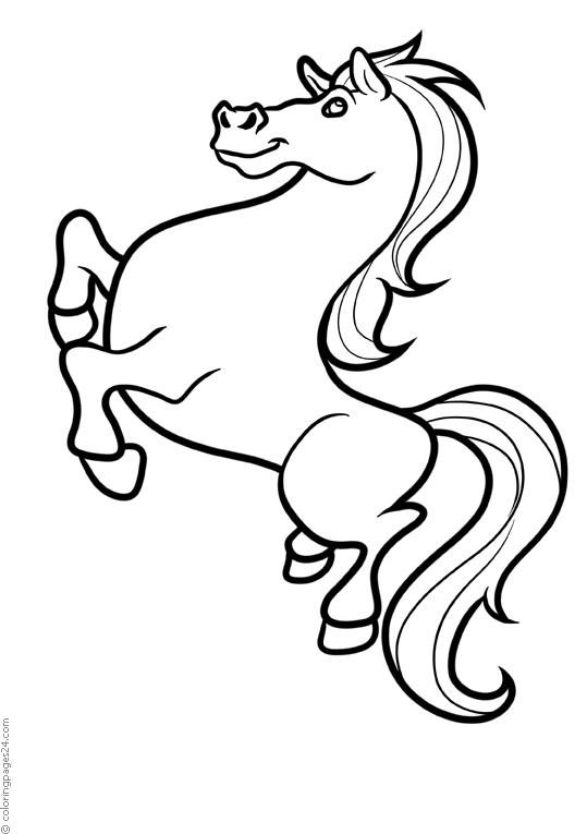 Horses 63