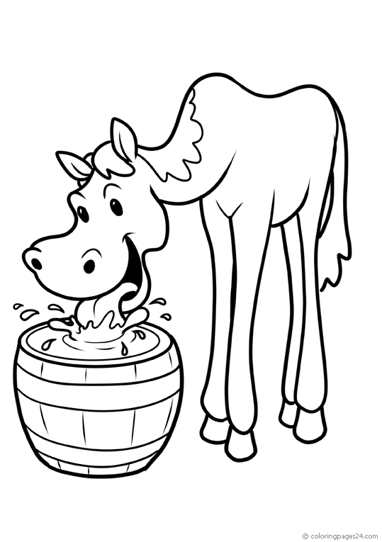 Horses 68