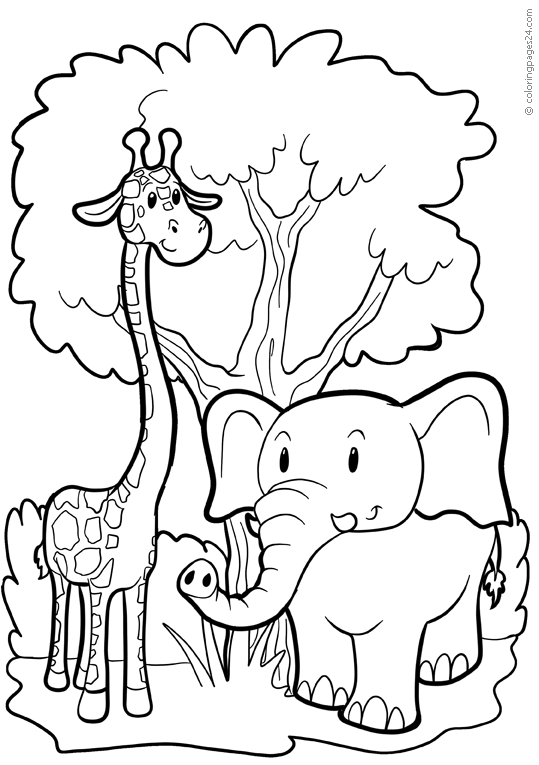 Elephants 22