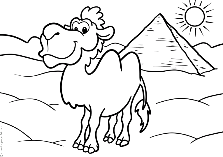 A camel in the hot dessert with a pyramid in the background.
