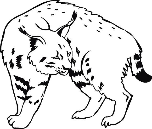 Lynx 1