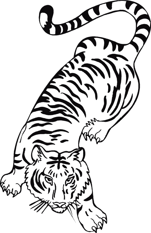 Tigers 1
