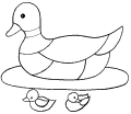 Ducks - 3