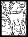 Deers - 4