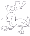 Ducks - 4