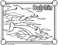 Dolphins - 13