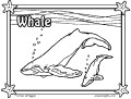Whales - 3
