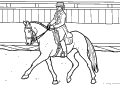 Horse Racing - 9
