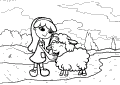 Sheep - 13
