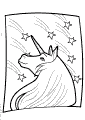 Unicorn looking at the stars