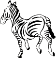 Zebras - 1